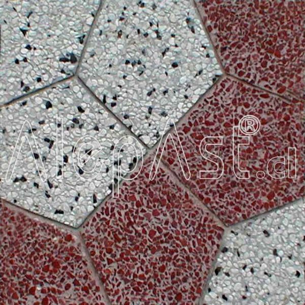 Pastelón 40x40 Araña 360-103